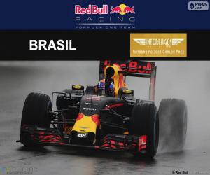 yapboz Max Verstappen, Brezilya Grand Prix 2016